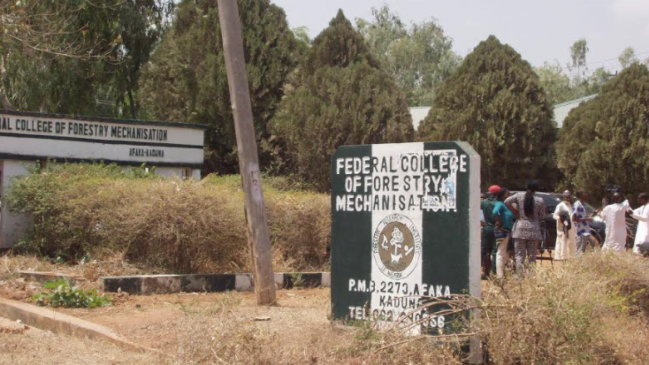 Afaka College FG Waives School For Released Students