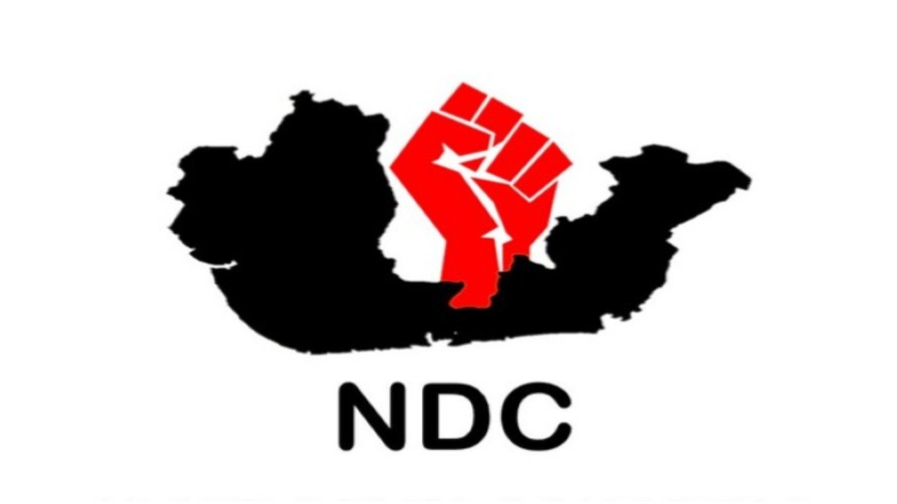 Nigeria Needs A New Constitution – Niger Delta Congress