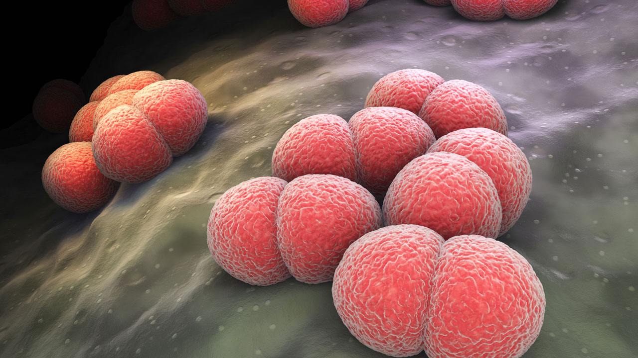 Meningitis Epidemic Breaks Out In DR Congo, Kills 129