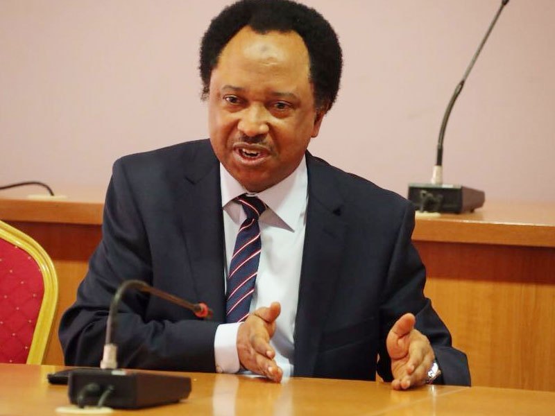 Declare Bandits Federal Workers' – Shehu Sani To FG