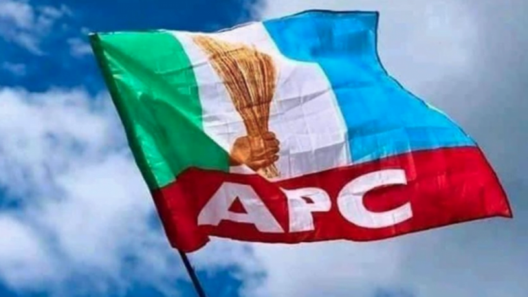 APC Congress Two Chairmen Emerge In Enugu