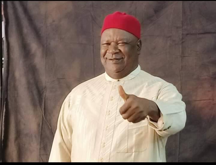 2023 I’ll Convert Nigeria's Diversity Into Asset – Anyim