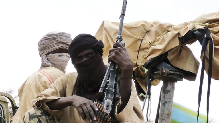 \Terrorists Strike Zamfara Village, Kill 9, Rustle Vows
