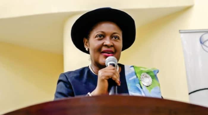 Assault On Odili, APC's Plot To Hijack 2023 Elections - PDP