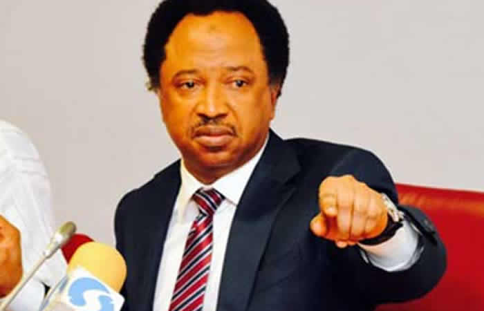 Shehu Sani Condemns Murder Of ECWA Pastor In Kaduna