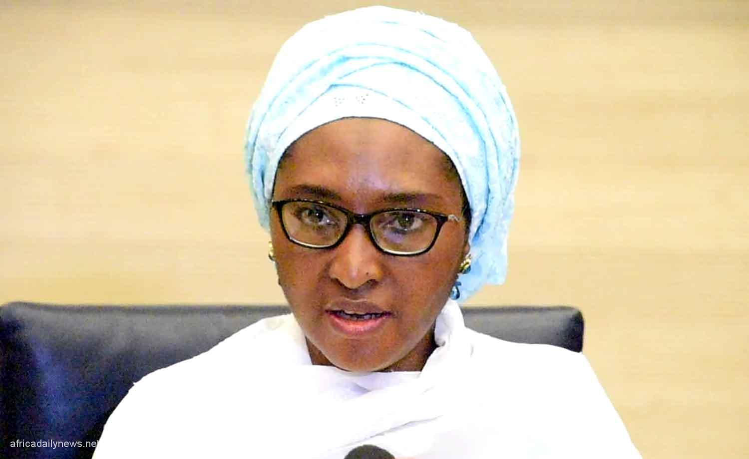 How We Quietly Removed Electricity Subsidy – FG