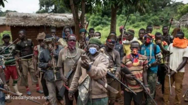 Cameroonian Seperatists Did Not Invade Nigeria, Army Insists