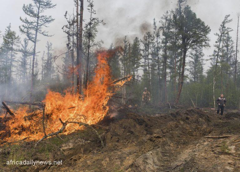 Five Confirmed Dead In Wind-Propelled Siberia Fires