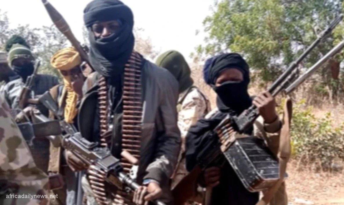 Seven Farmers Gruesomely Murdered By Bandits In Zamfara