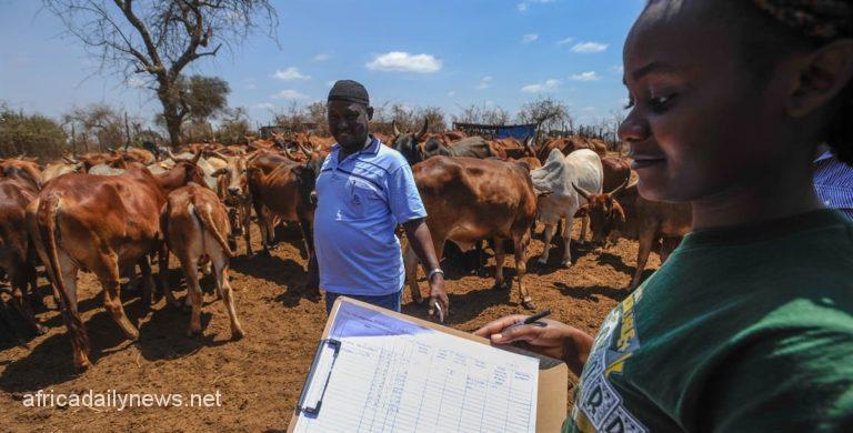 Kano Agro Project Recruits 220 Animal Health Workers