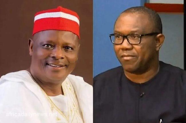 2023: Kwankwaso Will Not Be Peter Obi’s Running Mate – NNPP
