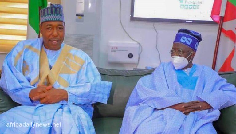 2023 Zulum Hails Tinubu Over Choice Of Running Mate