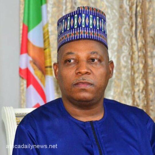 APC Reasons Why Shettima's Formal Unveiling Was Postponed By APC