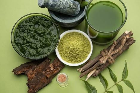 Loss of Indigenous Languages A Threat to Herbal Medicines