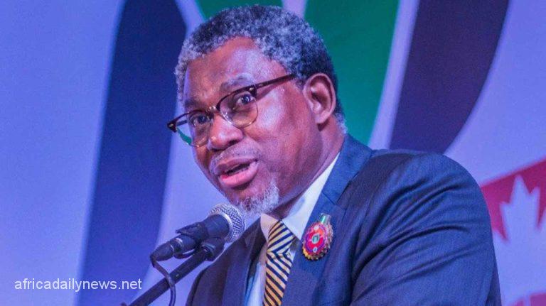 Nigerian Govt Moves To Halt Exportation Of Raw Minerals