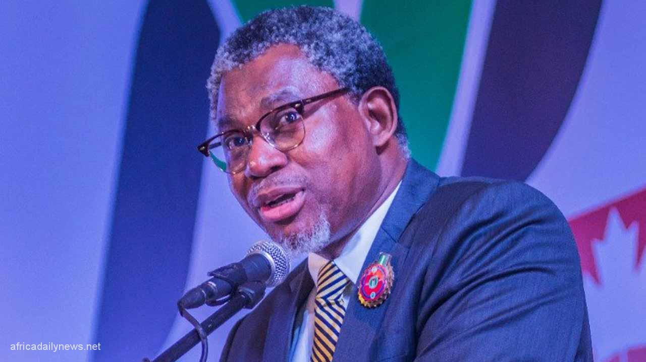 Nigerian Govt Moves To Halt Exportation Of Raw Minerals