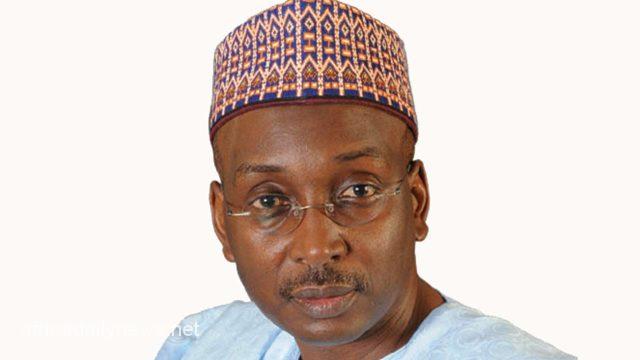 APC Not The Cause Of Nigeria's Problems - Party's Vice Chair