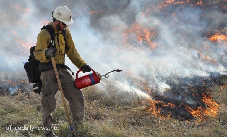Spain Firefighters In Deadly Battle To Control Huge Valencia Wildfire