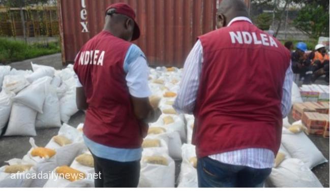 NDLEA Confiscates Cannabis Sativa Worth N30m In Nasarawa