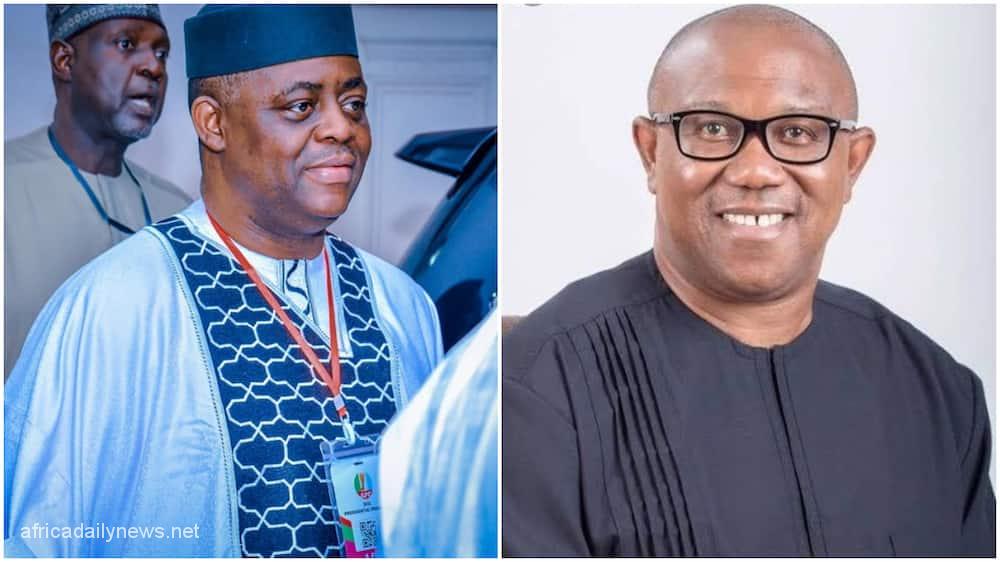 'Obidients' Are A Dangerous, Threat To APC, PDP – Fani-Kayode