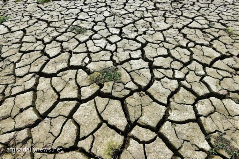 Wales Officially Declares Drought In Several Regions