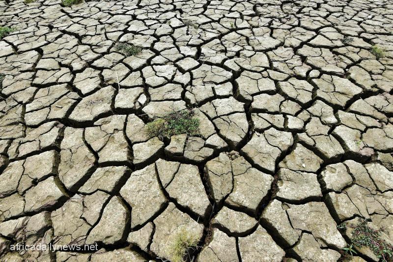 Wales Officially Declares Drought In Several Regions