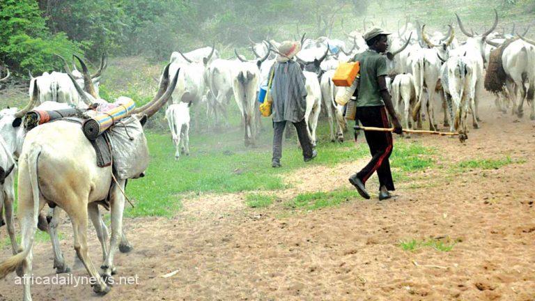 Herdsmen Murder Three People In Gov Ortom’s Hometown