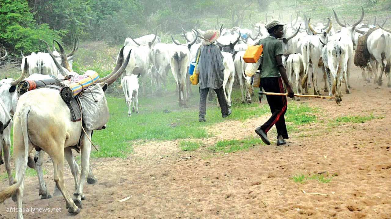 Herdsmen Murder Three People In Gov Ortom’s Hometown