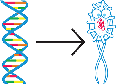Synthetic Biology To Combat Climate Change In Africa