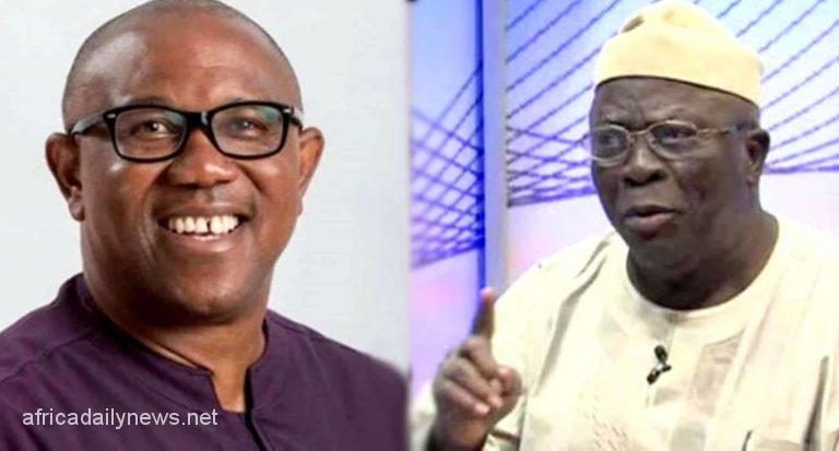 2023 No Going Back On Obi’s Endorsement - Afenifere