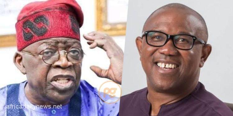 Peter Obi’s Lagos Rally Suggests APC's Decline - Bwala