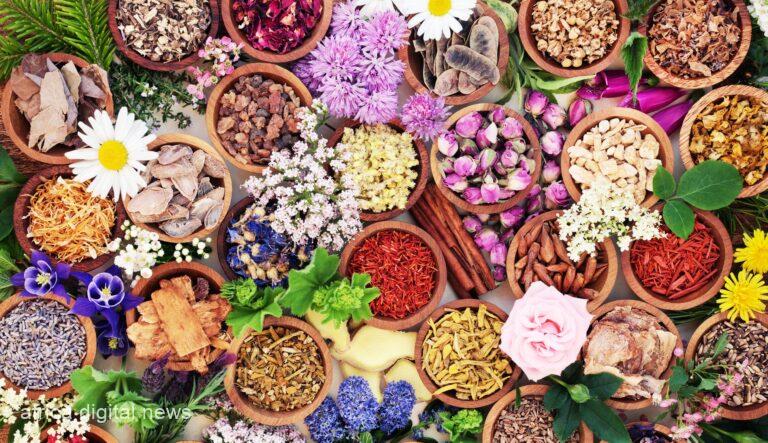 Nature's Detox Top Herbs For Liver Cleansing