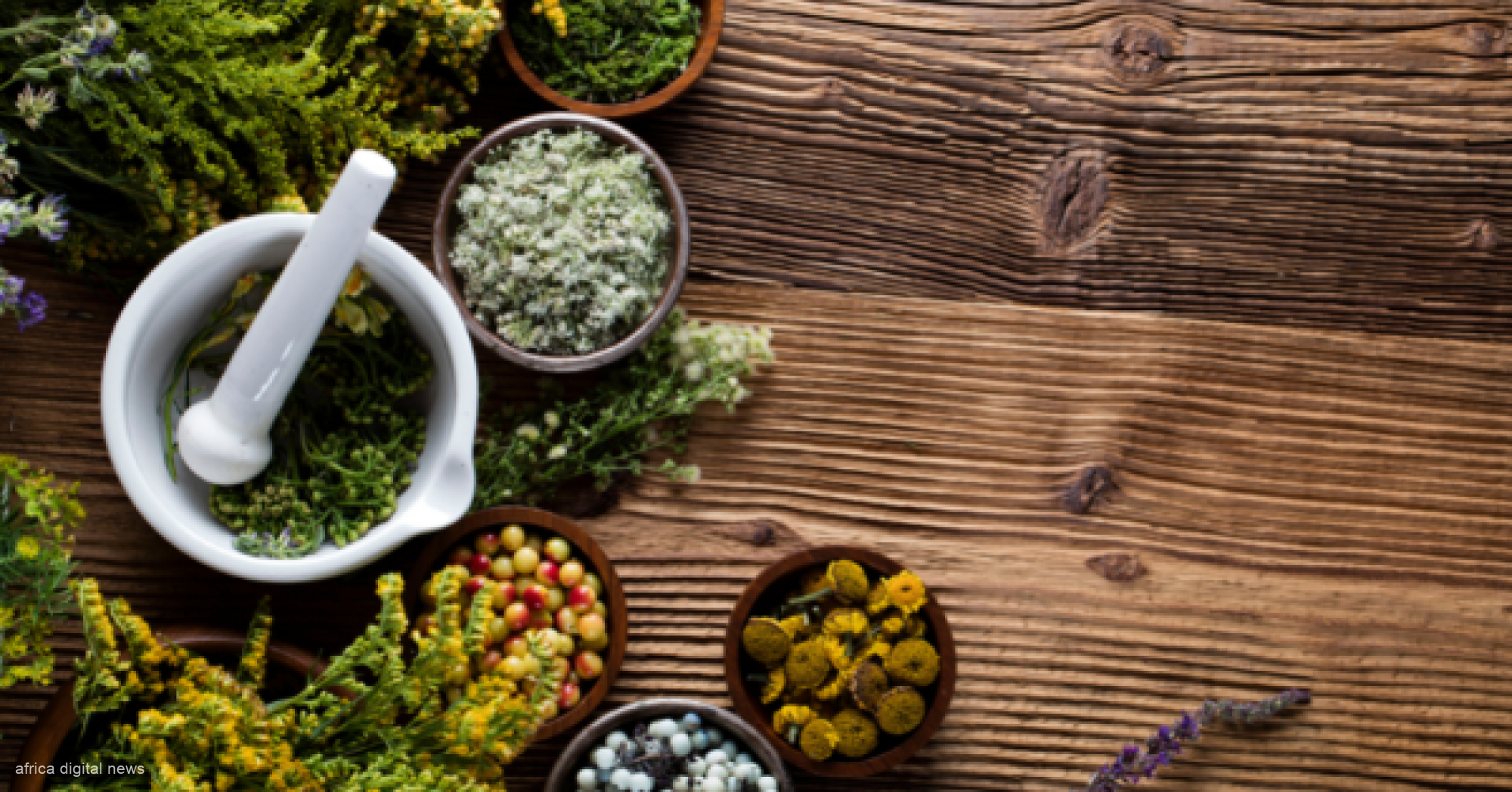 African Medicine: Merging Tradition With Modern Care