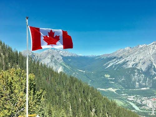 Canada: 60% Decline In New International Students Enrollment