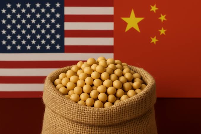 China Restores U.S. Soybean Licenses And Lifts Log Import Ban