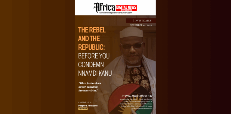 The Rebel And The Republic: Before You Condemn Nnamdi Kanu