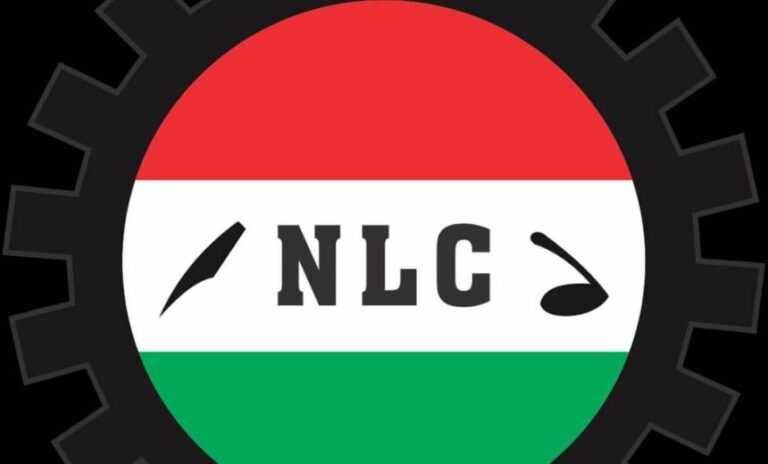 NLC Members Protest In Abuja Amid Rising National Insecurity